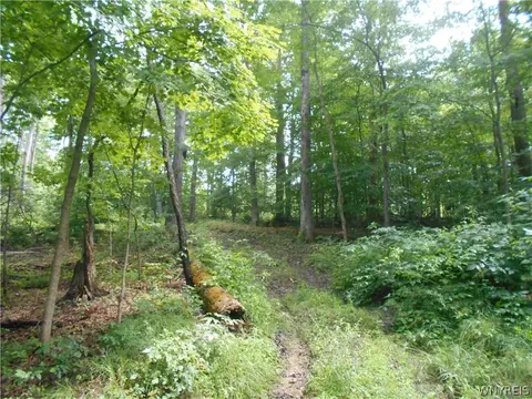 2511 Cutting Rd, Farmersville, NY 14042 photo 44