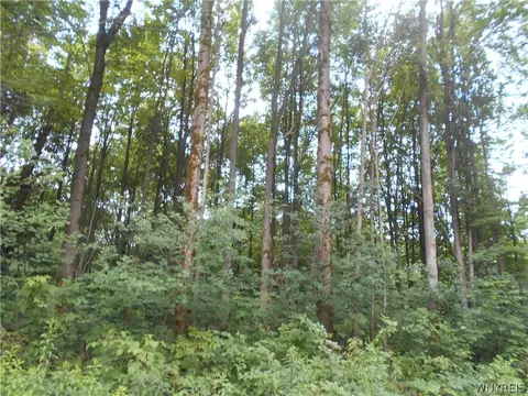 2511 Cutting Rd, Farmersville, NY 14042 photo 20
