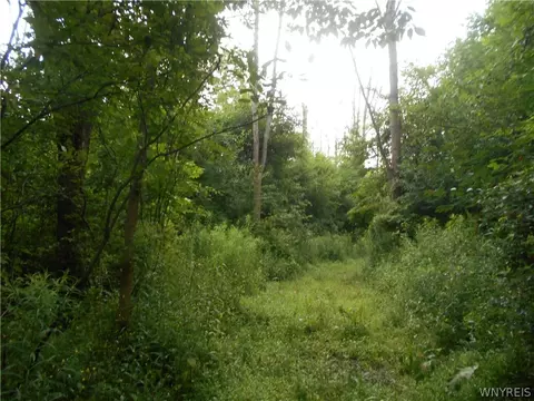 2511 Cutting Rd, Farmersville, NY 14042 photo 7