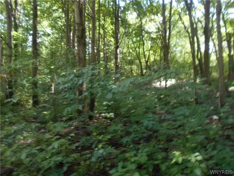 2511 Cutting Rd, Farmersville, NY 14042 photo 29