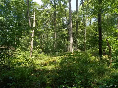 2511 Cutting Rd, Farmersville, NY 14042 photo 46