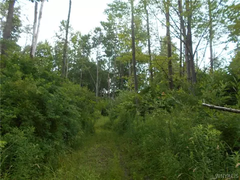 2511 Cutting Rd, Farmersville, NY 14042 photo 10