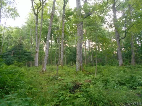 2511 Cutting Rd, Farmersville, NY 14042 photo 41