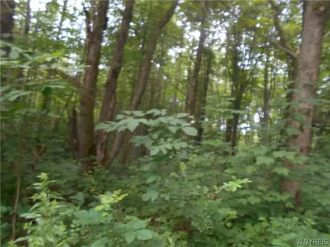 2511 Cutting Rd, Farmersville, NY 14042 photo 15