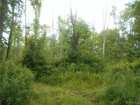 2511 Cutting Rd, Farmersville, NY 14042 photo 8