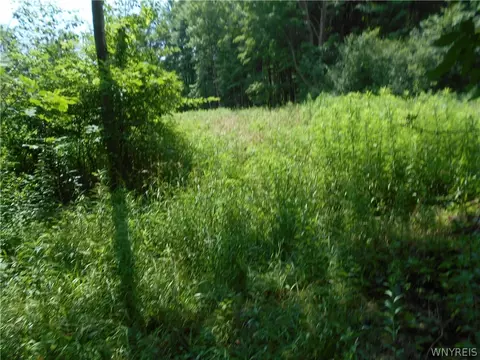 2511 Cutting Rd, Farmersville, NY 14042 photo 22