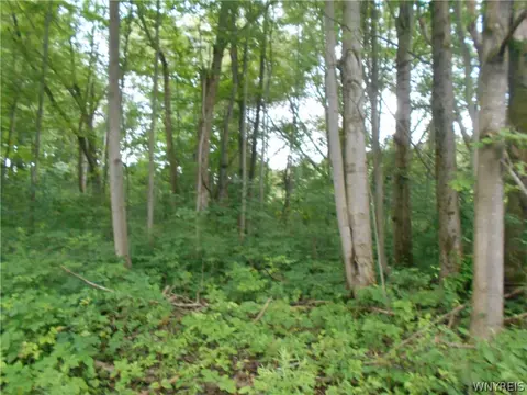 2511 Cutting Rd, Farmersville, NY 14042 photo 12
