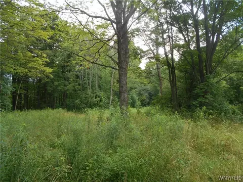 2511 Cutting Rd, Farmersville, NY 14042 photo 3