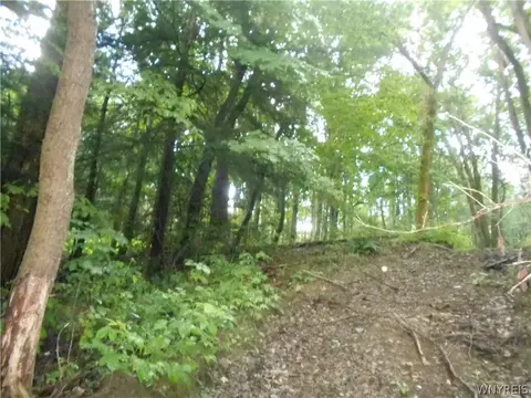 2511 Cutting Rd, Farmersville, NY 14042 photo 35