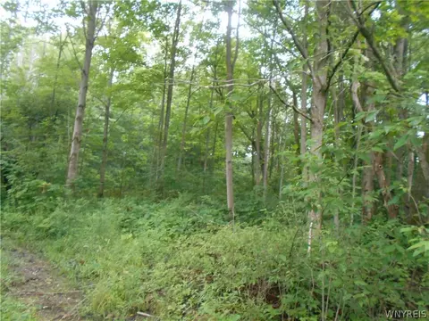 2511 Cutting Rd, Farmersville, NY 14042 photo 11