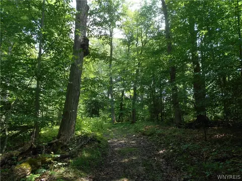 2511 Cutting Rd, Farmersville, NY 14042 photo 45