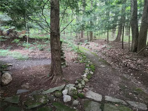 55 Maple Ln, Sheldon, NY 14167 photo 20