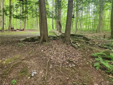 55 Maple Ln, Sheldon, NY 14167 photo 21
