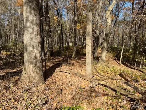 lot2 Armor Duells Rd, Orchard Park, NY 14127