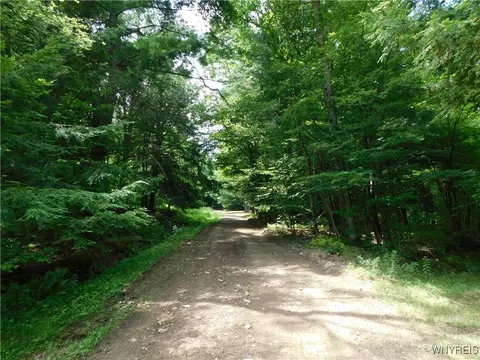 0 Thumb Rd, Genesee, NY 14715 photo 2