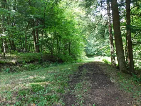 0 Thumb Rd, Genesee, NY 14715 photo 3