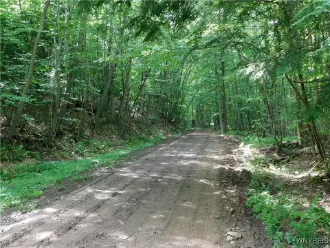 0 Thumb Rd, Genesee, NY 14715 photo 9