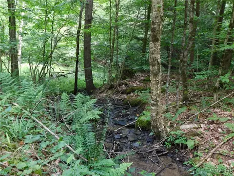 0 Thumb Rd, Genesee, NY 14715 photo 11