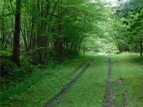 0 Thumb Rd, Genesee, NY 14715 photo 15