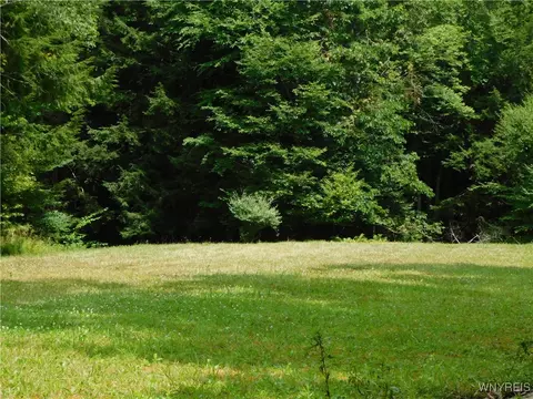 0 Thumb Rd, Genesee, NY 14715 photo 8