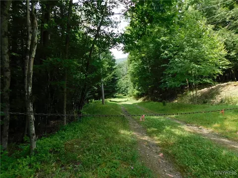 0 Thumb Rd, Genesee, NY 14715