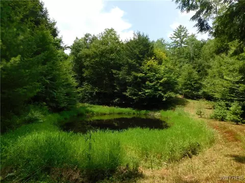 0 Thumb Rd, Genesee, NY 14715 photo 5
