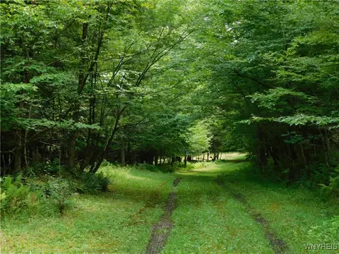0 Thumb Rd, Genesee, NY 14715 photo 16