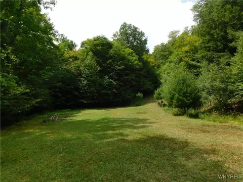 0 Thumb Rd, Genesee, NY 14715 photo 6