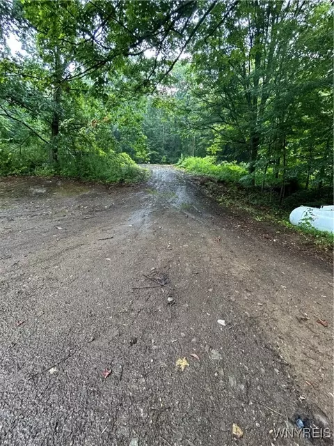 13553 Strykersville Rd, Wales, NY 14169