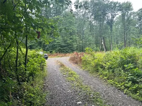 0 Jones Hill Rd, Cold Spring, NY 14772 photo 5