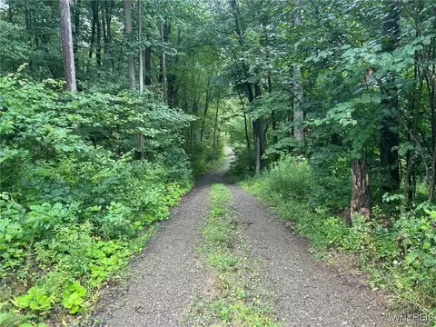 0 Jones Hill Rd, Cold Spring, NY 14772 photo 4