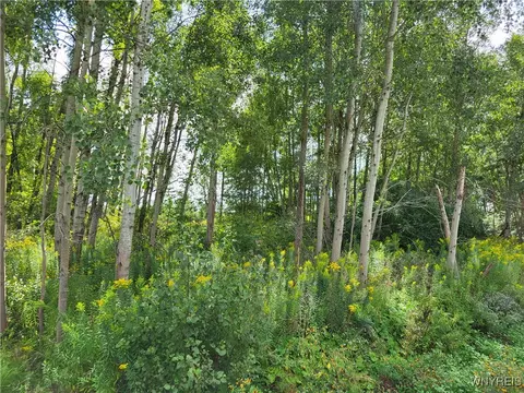 12165 Us-62, Conowingo, NY 14726