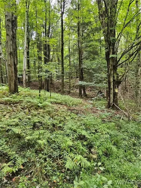 Vl Rabbit Road, East Otto, NY 14729
