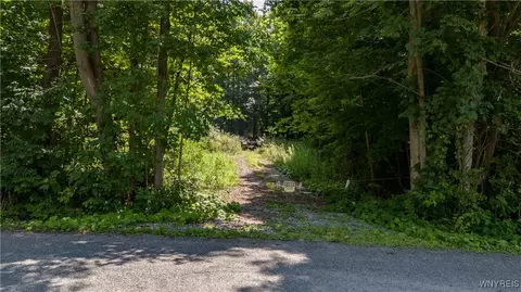 6290 Decker Rd, Livonia, NY 14487