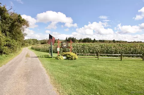 1561 War-moose Dr, Freedom, NY 14065 photo 35