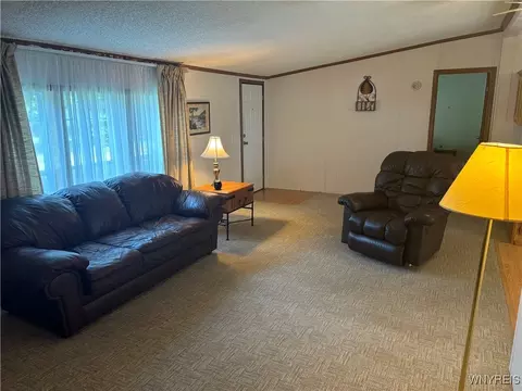 41 Southview Dr, Arcade, NY 14009 photo 22
