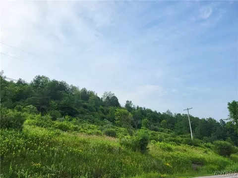 4221 Nys Route 242, Machias, NY 14101