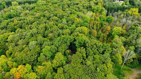 V/l Syler Road, Orangeville, NY 14569