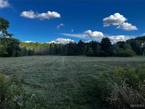 Vl Creek Road, Lewiston, NY 14092