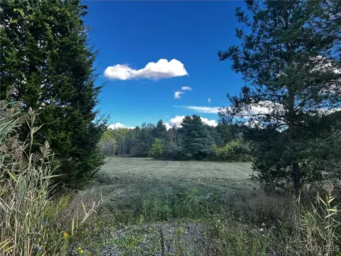 Vl Creek Road, Lewiston, NY 14092