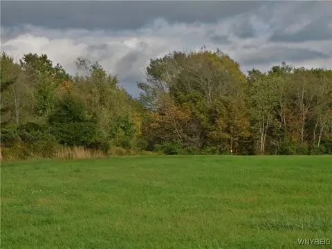 00 Mount Monroe Rd, New Hudson, NY 14727