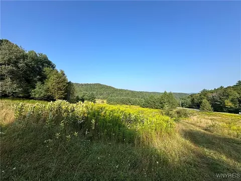 1235 Kansas Hollow Rd, Bolivar, NY 14715