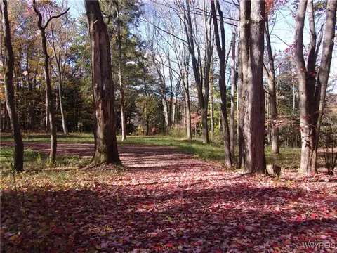 8871 Russell Rd, Rushford, NY 14777