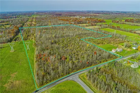Vl Riddle Road, Royalton, NY 14105