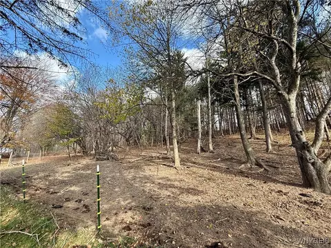 7189 Big Tree Rd, Covington, NY 14525 photo 18