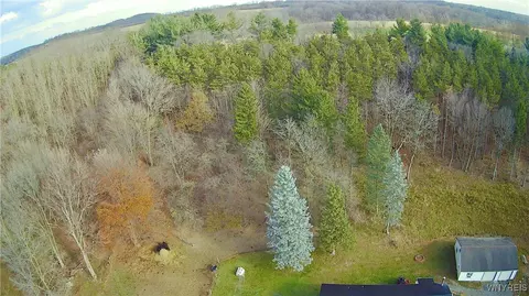 7189 Big Tree Rd, Covington, NY 14525 photo 15
