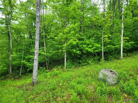 0 Co Road 24 #LOT 1, Grove, NY 14884
