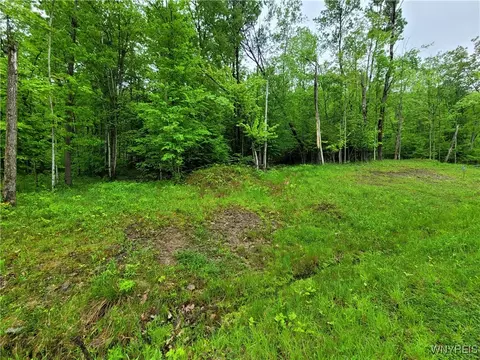 0 Co Road 24 #LOT 7, Grove, NY 14884