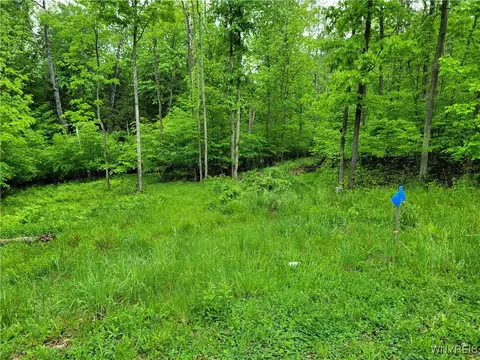 0 Co Road 24 #LOT 14, Grove, NY 14884