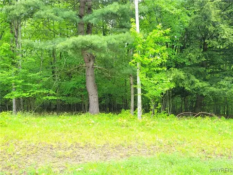 0 Cr-24 #LOT 18, Grove, NY 14884